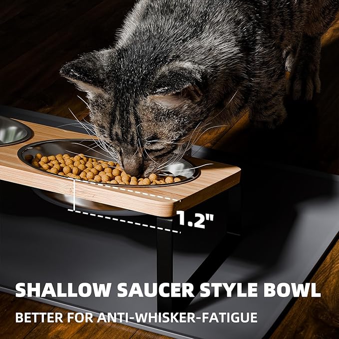 Elevated Whisker Friendly Cat Bowls, 15 Tilted Stand Anti Vomiting Raised Dishes for Food and Water, Stainless Steel Bowls for Cats and Puppy