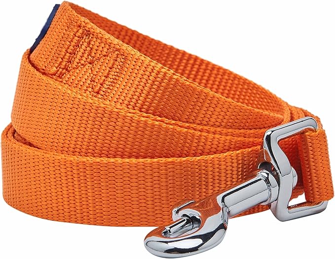 Blueberry Pet Essentials Orange Vermilion Dog Leash for Medium - Small -5' * 5/8" Dogs | Heavy Duty Nylon Lead | Lightweight Puppy & Cat Leash for Walking & Training