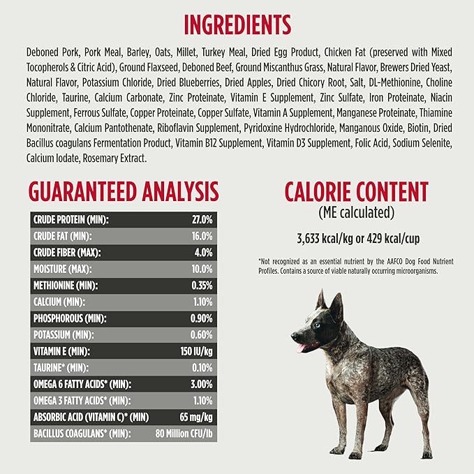 Nulo Frontrunner Ancient Grains High-Protein Dog Food, Pork, Barley, & Beef Recipe- Natural Dry Dog Food with Probiotics, Grain-Inclusive Kibble for Adult Dogs, 25 lb Bag