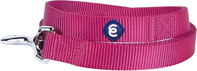 Blueberry Pet Essentials Very Berry Dog Leash for Large - 4' * 1" Dogs | Heavy Duty Nylon Lead | Lightweight Puppy & Cat Leash for Walking & Training