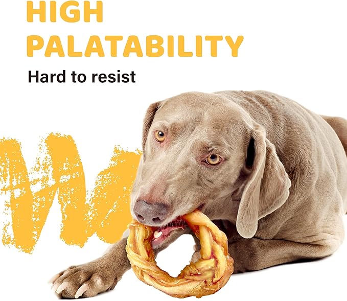 iPaw Turkey Tendons for Dogs, 100% Turkey and US Sourced Raw Material, Hypoallergenic, All Natural Human Grade Puppy Chew, Rawhide Alternative Dog Treats, 4 Units/Pack Ring (Small)