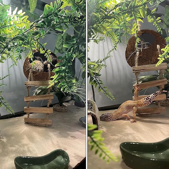 5PCS Coconut Hut for Gecko, Lizard Coco Den with Ladder and Reptile Hammock Bearded Dragon Tank Accessories Climbing Hanging Plants Jungle Vine Flexible Reptile Leaves Decor