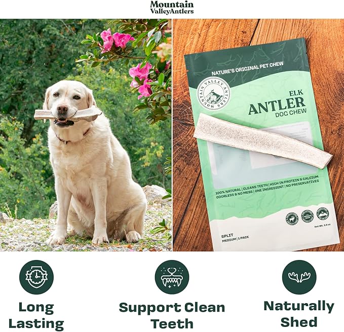 Mountain Valley Elk Antlers for Dogs - 100% Natural & Organic Chew for Aggressive Chewers, No Odor, No Mess, Long Lasting - Wild-Foraged Naturally Shed Antlers in USA - Grade A, Split Small (3 Pack)
