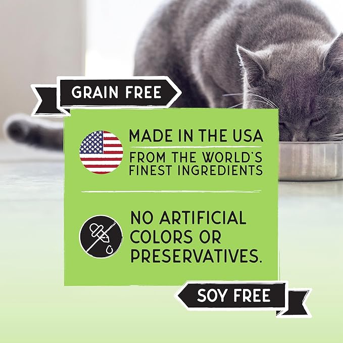 Blackwood Bounty Dry Cat Food, Whitefish & Lentil Recipe for All Life Stages, 2 Pound Bag, High Protein, Grain Free (Pack of 4)