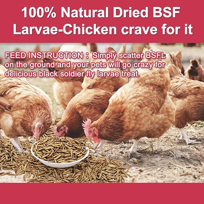 10LB Dried Black Soldier Fly Larvae for Chickens, Non GMO 86X More Calcium BSF Larvae Than Mealworms for Chickens & Birds, Natural Chicken Feed Bulk, Chicken Worms Treats, Wild Birdseed Attractant