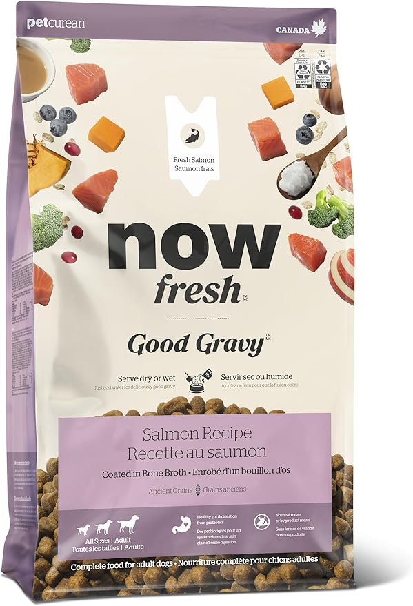 Now Fresh Good Gravy, Bone Broth Coated Kibble, Dry Dog Food, Salmon Adult Recipe with Grains, All Breed Size, 22 lb Bag
