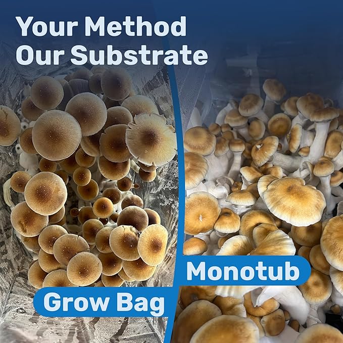 Surfin' Spores Premium Bulk Mushroom Substrate - 20 lbs Expert Mycologist Blend of Coco Coir, Vermiculite & Gypsum, Pasteurized & Odor-Free, Long Shelf-Life, Ideal for Monotub Cultivation