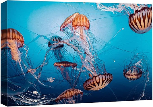 wall26 Canvas Print Wall Art Tiger Stripe Jellyfish Underwater Ocean Sea Nature Animals Photography Realism Rustic Scenic Landscape Wilderness Colorful for Living Room, Bedroom, Office - 12"x18"