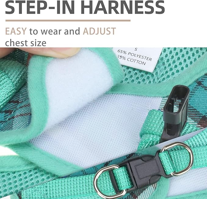 PUPTECK Adjustable Dog Harness Collar and Leash Set Step in No Pull Pet Harness for Small Medium Dogs Puppy and Cats Outdoor Walking Running, Soft Mesh Padded Reflective Vest Harnesses, Lake Green S