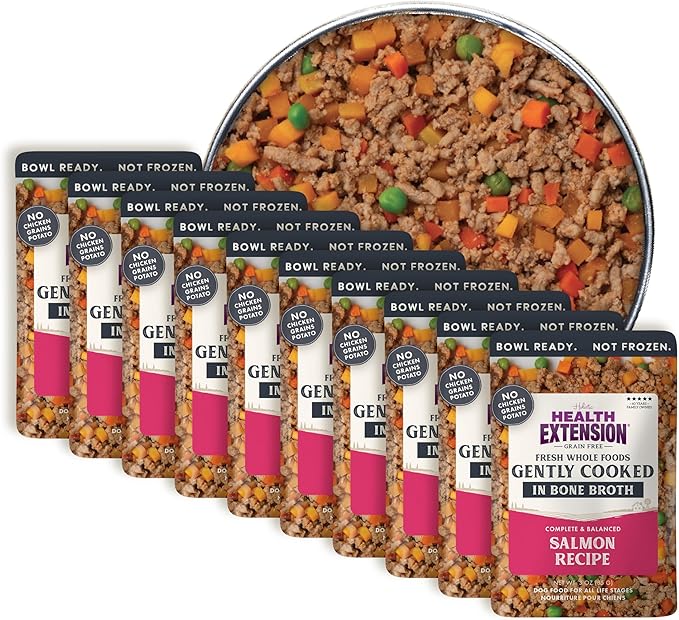 Health Extension Gently Cooked Grain-Free Salmon Dog Food, Human-Grade & Shelf-Stable with Superfoods, Supports Digestion, Immunity, Skin & Coat, 3 oz Pouch (Pack of 10)