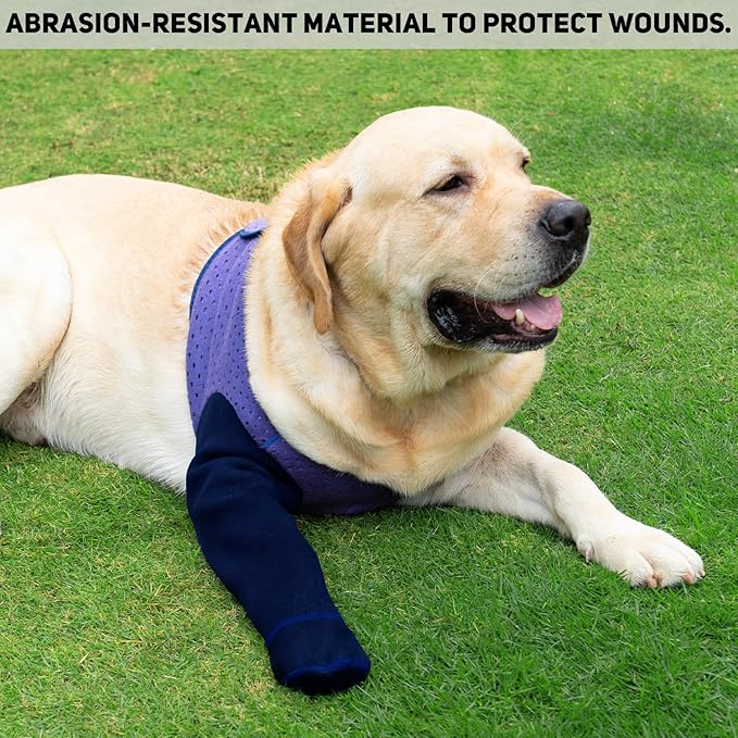 COODEO Dog Socks to Prevent Licking Paws, Healing Boots & Paw Protectors with Non-Slip Bottoms for Wound Protection, Waterproof Sleeve Shoes for Licking（Purple，2XL_Right