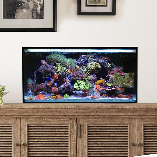 Innovative Marine Starter Kit Aquariums (25 Gallon Lagoon)