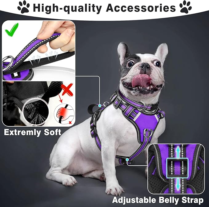 WINSEE Pet Harness Collar and Leash Set, All-in-one Reflective Dog Harness No Pull with Adjustable Buckles for Puppies, Small, Medium, Large, and Extra-Large Dogs (Small, Purple)
