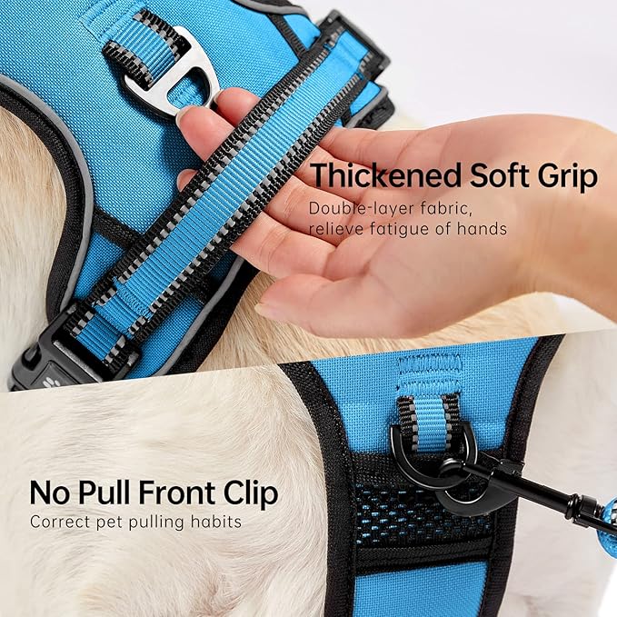 NESTROAD No Pull Dog Vest Harness with Leash, Adjustable Reflective Oxford Pet Harness with Easy Control Handle for Small Dogs, Blue
