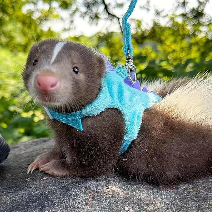 Ferret Leash and Harness Set, Dinosaur Design Small Animal Harness with Leash, Adjustable & Escape-Proof, Soft Plush Comfort for Rabbits, Kitten, Bunny, Hedgehog (Blue)