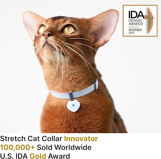 Safety Cat Collar Pro Pendant Tag Set - U.S. IDA Gold Award Design, Elastic Quick Release Non Breakaway Cat Collar Adjustable with Charm for Kitten Small Large Cats (Burgundy, S)