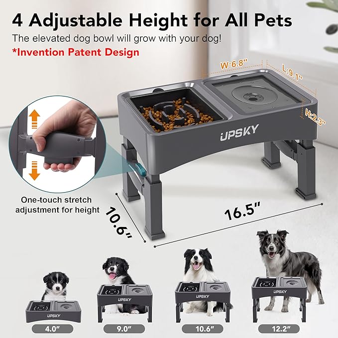 UPSKY 2-in-1 Elevated Dog Bowls Slow Feeder, 4 Height Adjustable Raised Bowl Stand, No Spill Dog Water Bowls, Anti-Slip Food and Water Bowls for Small Medium Dogs(Not Include Stainless Steel Bowl)