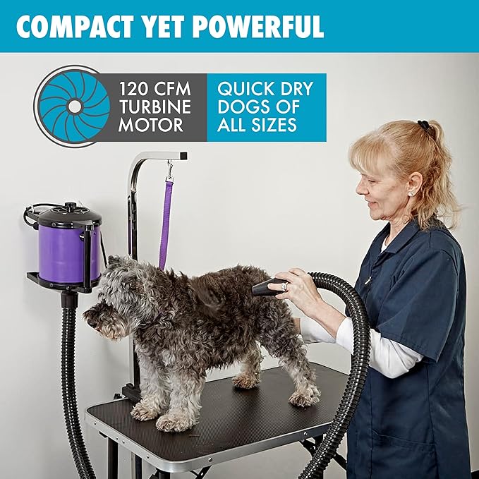 GustyAir Mini Dog Blow Dryer - Professional, Commercial Grade Force Dryer for Groomers - Quiet, High Velocity Air Dryer, Hose Attachments, Variable Speed, No Heating Element - USA Company - Black