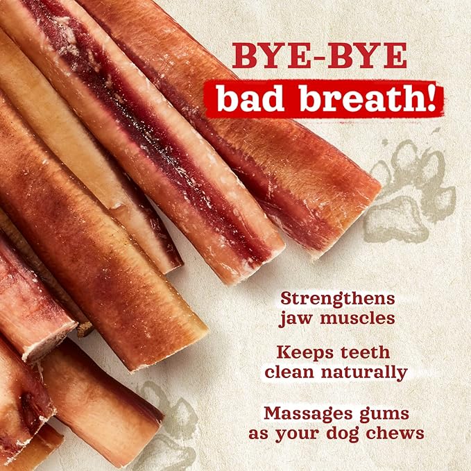 Natural Farm Odor-Free Thick Bully Sticks (12”, 5-Pack) All-Natural Long-Lasting Dog Chews, 100% Beef Pizzle, Grass-Fed, Grain-Free, Protein for Muscle Development & Energy, Perfect for Large Dogs