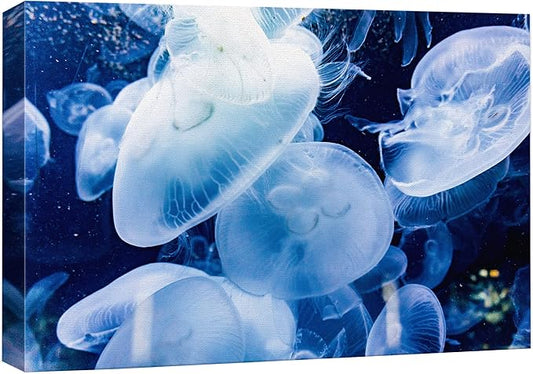 wall26 Canvas Print Wall Art Translucent X-Ray Tropical Ocean Jellyfish Nature Animals Photography Realism Rustic Scenic Landscape Wilderness Earth for Living Room, Bedroom, Office - 24"x36"