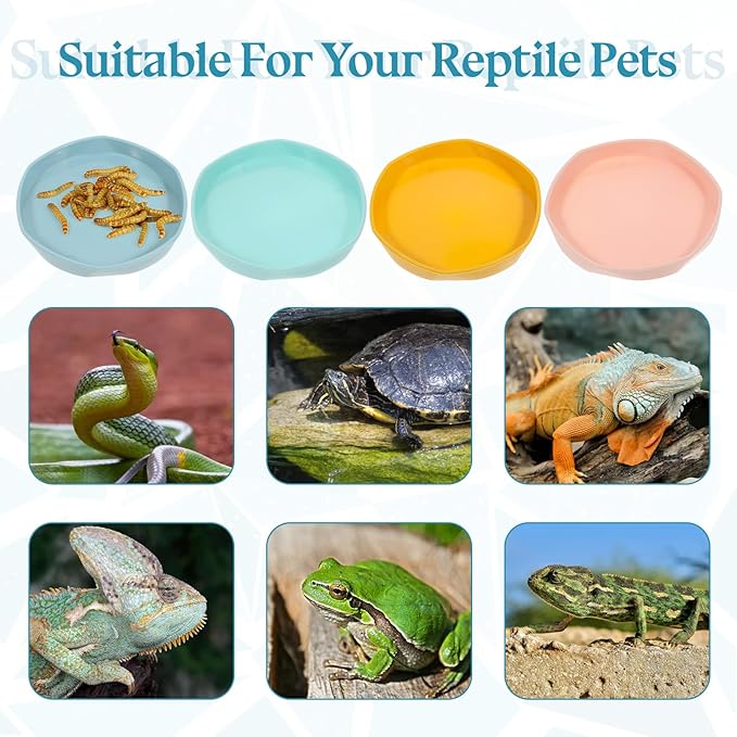 Reptile Water Dish, 4 PCS Bearded Dragon Water Bowl Shallow and Flat Reptile Food and Water Feeder Small Water Dish Tiny Plastic Feeding Dish for Lizard Gecko Chameleon Anoles