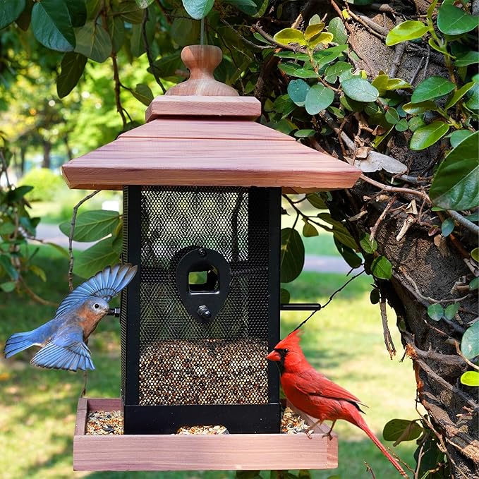Cedar & Metal Mesh Bird Feeder for Outdoors Hanging Mount Large Capacity, Black Wooden Garden Roof Feeder Lantern Style, Cardinal Bluebird Birdfeeder with Iron Mesh Wall for Garden Decor Durable