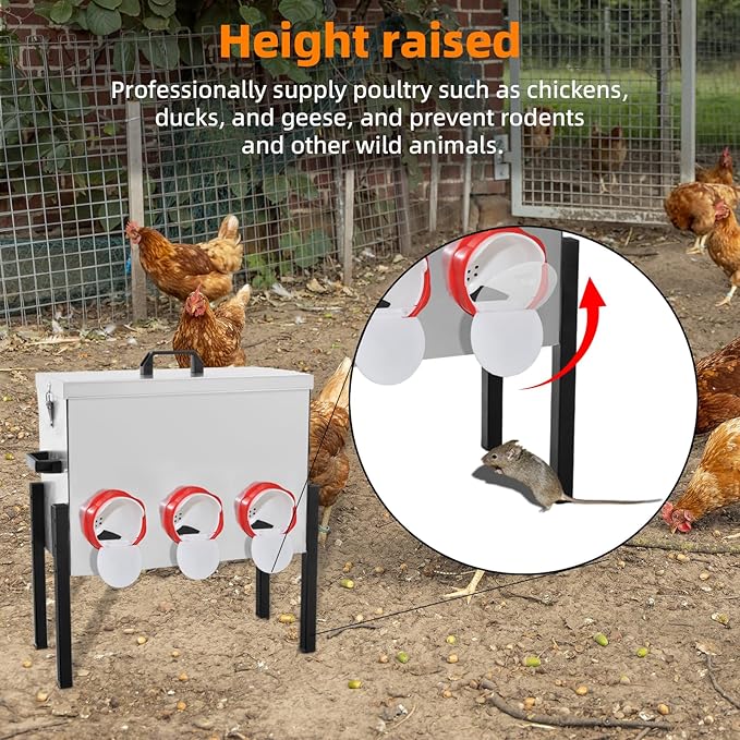 XKV Metal Automatic Chicken Feeder 30LBS with 6 Ports,Locking Lid and Legs,No Feed Waste,All Seasons Support,Weather-Resistantand Animal-Proof,Suitable for Chicken,Geese,Ducks,Turkeys,Quails