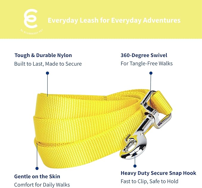 Blueberry Pet Essentials Blazing Yellow Dog Leash for X-Small -5' * 3/8" Dogs | Heavy Duty Nylon Lead | Lightweight Puppy & Cat Leash for Walking & Training