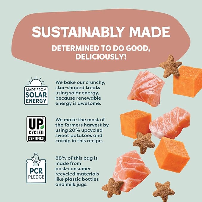 Shameless Pets Crunchy Cat Treats - Kitty Treats for Cats with Skin & Coat Support, Natural Ingredients Kitten Treats with Real Salmon, Healthy Flavored Feline Snacks - Yam Good Salmon, 1-Pk