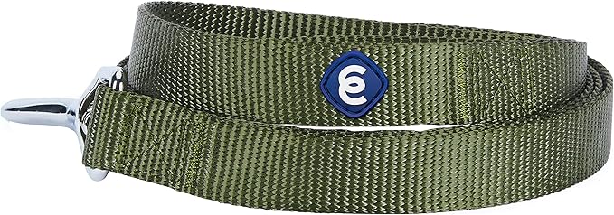 Blueberry Pet Essentials Military Green Dog Leash for Large - 4' * 1" Dogs | Heavy Duty Nylon Lead | Lightweight Puppy & Cat Leash for Walking & Training