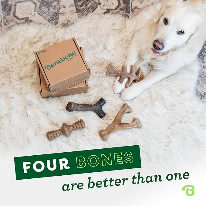 Benebone Medium 4-Pack Dog Chew Toys for Aggressive Chewers, Made in USA, 60lbs and Under
