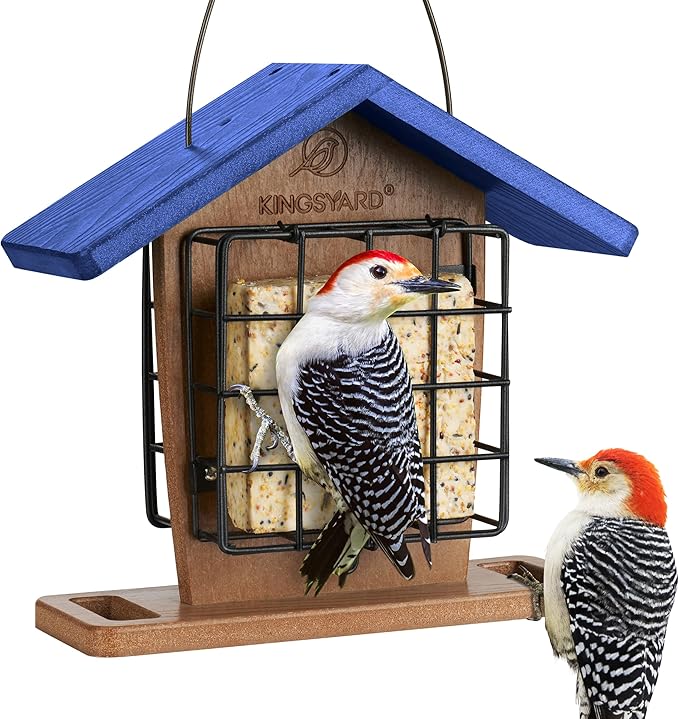 Kingsyard Recycled Plastic Double Suet Feeder with Rainproof Roof & Perch, Cage Suet Bird Feeders for Outdoors Hanging, Great for Woodpecker, Chickadee, Nuthatch (Green)