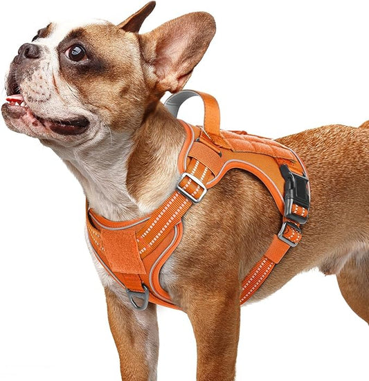 rabbitgoo Dog Harness Small Sized No Pull, Tactical Service Pet Vest with Molle and Control Handle, Adjustable and Reflective Military Harness for Easy Walking and Training, Orange, S