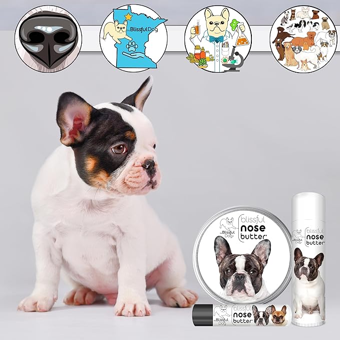 The Blissful Dog Pied French Bulldog Nose Butter, Versatile Dog Nose Balm for Dry Nose, Handcrafted Nose Moisturizer, Easy-to-Apply Dog Essentials, Unscented, 1 oz.