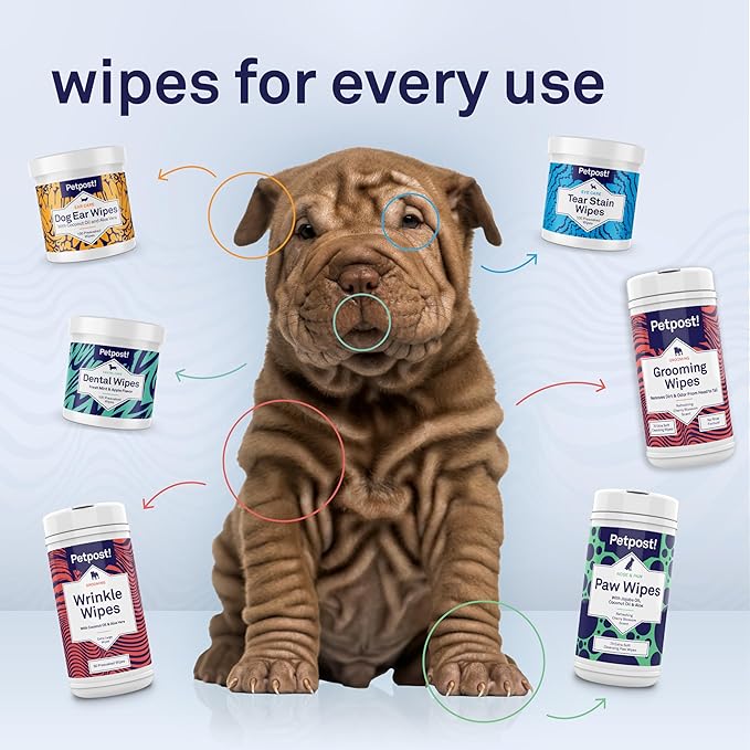 Petpost Large Grooming Wipes for Dogs | 70 Count Deodorizing Dog Cleaning Wipes with Coconut Extract & Aloe | Gentle Pet Wipes with Cherry Blossom Scent for Full-Body Grooming