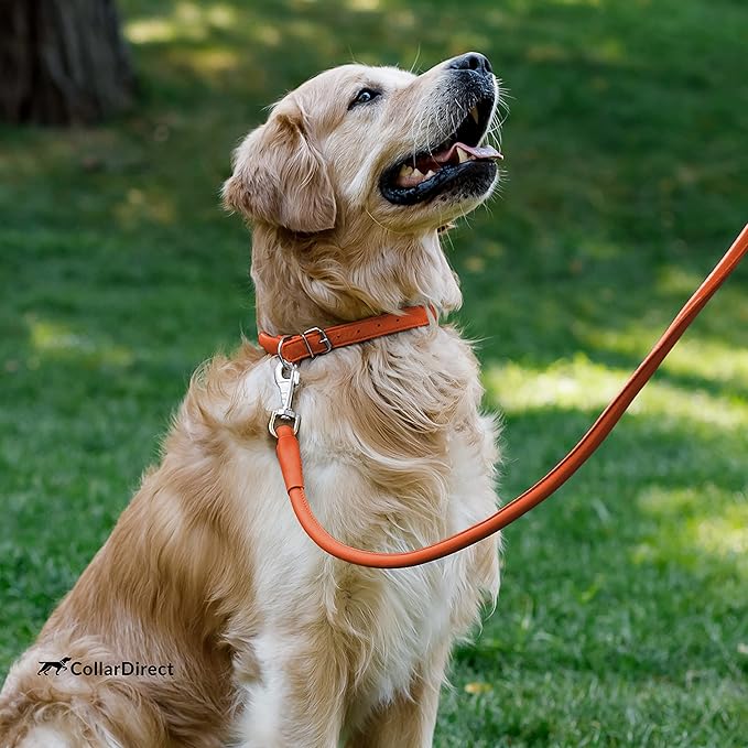 CollarDirect Rolled Leather Dog Collar, Soft Padded Round Puppy Collar, Handmade Genuine Leather Collar Dog Small Large Cat Collars 13 Colors (15-19 Inch, Orange Textured)
