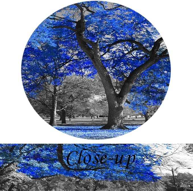 KREATIVE ARTS Canvas Print Wall Art Painting Contemporary Blue Tree In Black And White Style Fall Landscape Picture Modern Giclee Stretched And Framed Artwork