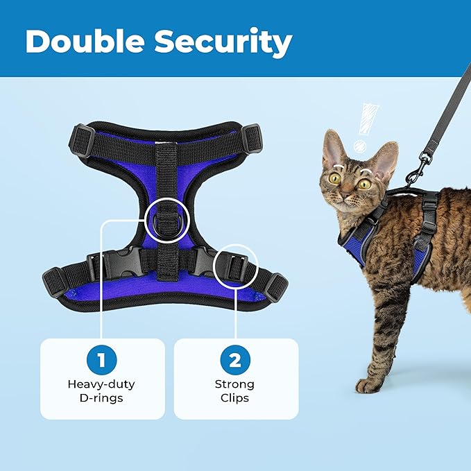 Voyager Escape Proof Cat Harness and Leash Set with Reflective Stitching, Neoprene Handle 5ft - Supports Small, Medium and Large Cats, Kittens for Walking by Best Pet Supplies - BT-Royal Blue, XXXS