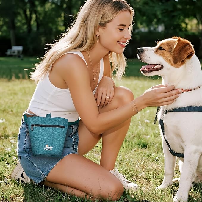 Dog Travel Bag for Pet Kit for Supplies with 2 Food Storage Containers 2 Collapsible Bowls 1 Feeding Mat 1 Dog Treat Pouch 7-Piece Set Perfect Road Trips Camping Weekend or Doggy Gift, Teal