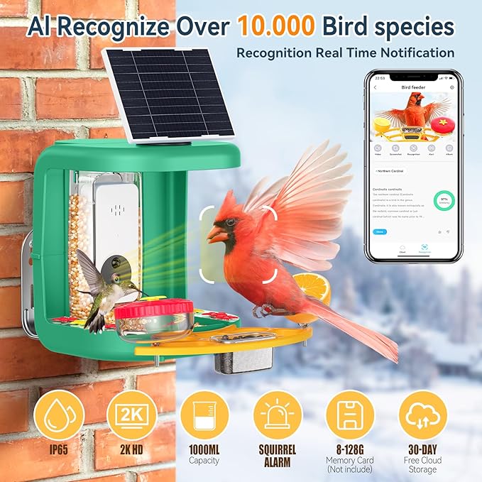 Solar-Powered Smart Bird Feeder with Camera Solar Powered,2K Video Recording, Auto Bird ID & Extensive DIY Accessories,2 in 1 Hummingbird Feeder Camera Ideal Present for Bird Lovers (Green)