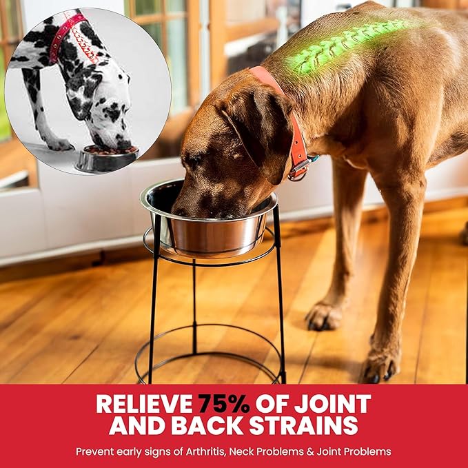 SPOT Hi Rise Single Diner Elevated Dog Feeder, 2qt Stainless Steel Bowl, Durable Wire Stand, Hygienic, Easy to Clean, Promotes Proper Posture for Tall Pets, Ideal for Medium and Large Breeds, 14.25in