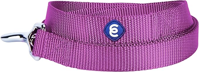 Blueberry Pet Essentials Violet Dog Leash for X-Small -5' * 3/8" Dogs | Heavy Duty Nylon Lead | Lightweight Puppy & Cat Leash for Walking & Training