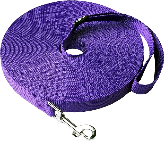 Dog/Puppy Recall & Behavior Training Rope Leash - 40 ft (Purple)