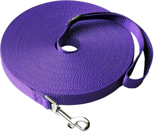 Dog/Puppy Recall & Behavior Training Rope Leash - 40 ft (Purple)