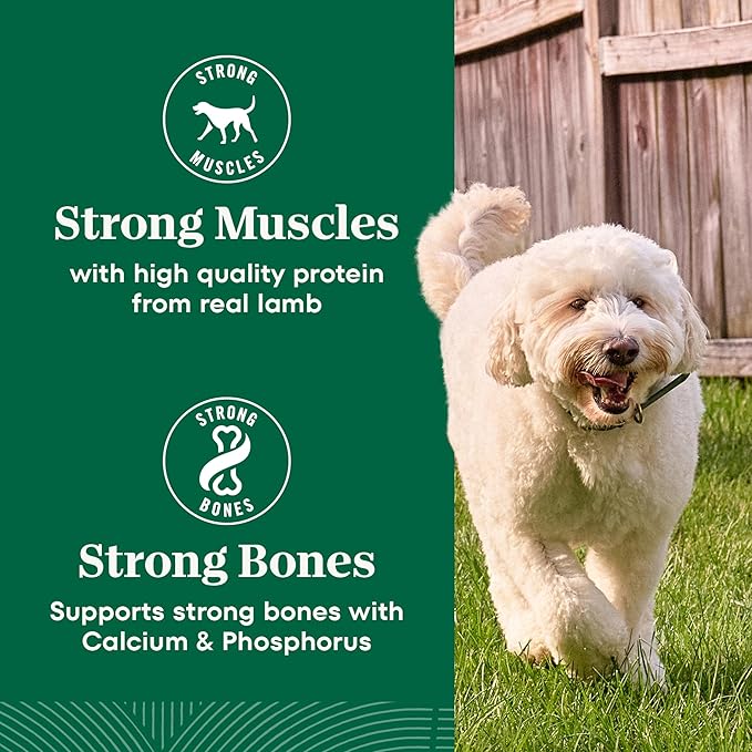 Nutro Natural Choice Adult Dry Dog Food, Lamb and Brown Rice Recipe, 12 lbs.