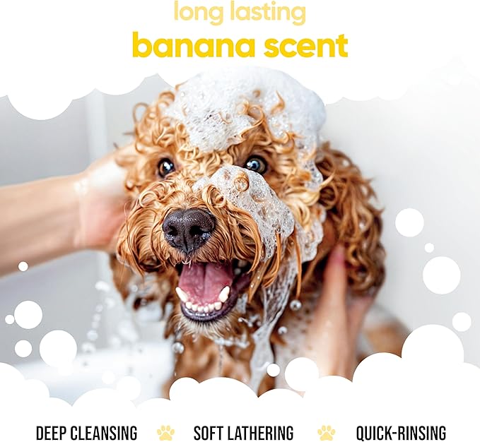 Banana Dog Shampoo by Buddycare | Deep Cleansing Shampoo for Dogs | Banana Scented | with Aloe Vera and Pro Vitamin B5 (16.9oz)