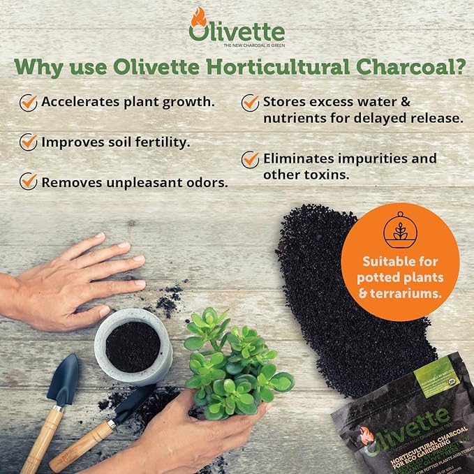 Olivette Horticultural Biochar Activated Charcoal for Plants, USDA Organic Moisture Control for Terrarium Trees & Potted Plants, Eco-Conscious, 3 Bags