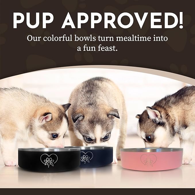 9 Tails Watering Hole- Stainless Steel Dog Bowl, Insulated Dog Bowls, Non Slip, Diswasher Safe, Cats, Dog Food Bowls, Dog Water Bowl, Puppy Dog Bowl for Small Medium Dogs (Black, 18 oz)