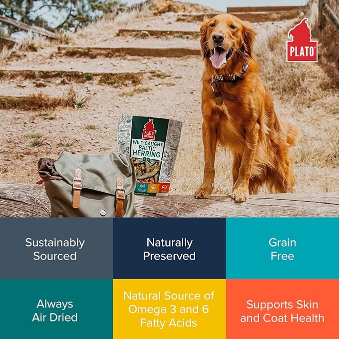 PLATO Pet Treats Fish Dog Treats - Air-Dried, Single Ingredient Dog Treat - with Omega 3 & 6 Fatty Acids to Support Skin and Coat - 100% Whole Fish - Wild Caught Baltic Herring Dog Treats - 8.5 oz
