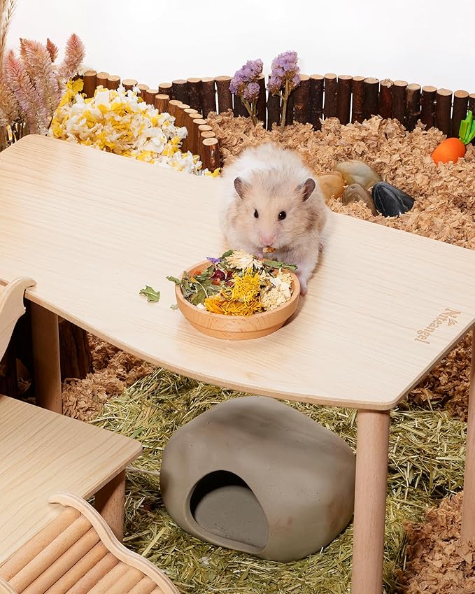 Niteangel Hamster Snack & Treats Toy: - Small Animal Natural Treat Mix for Dwarf Syrian Robo Hamsters Gerbils Mice Lemmings Degus or Other Small-Sized Pets (Vegetable Combo)